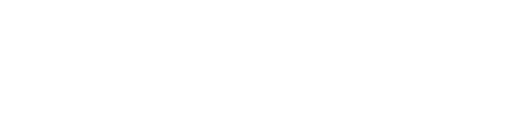 D´Mente Wild Thinking